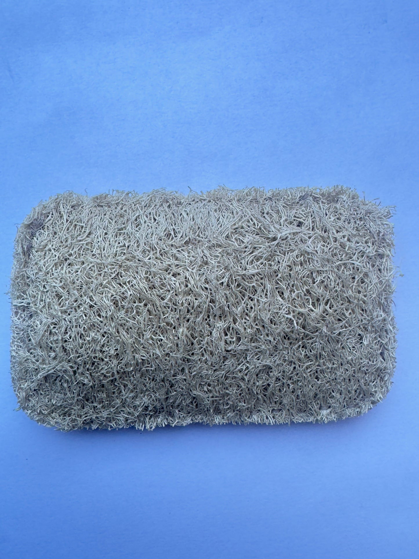 Hard Natural Loofah Scrubbing Sponges for Pots &Pans(2pcs)