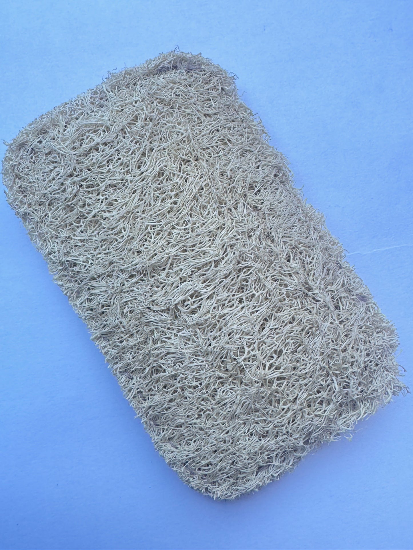 Hard Natural Loofah Scrubbing Sponges for Pots &Pans(2pcs)