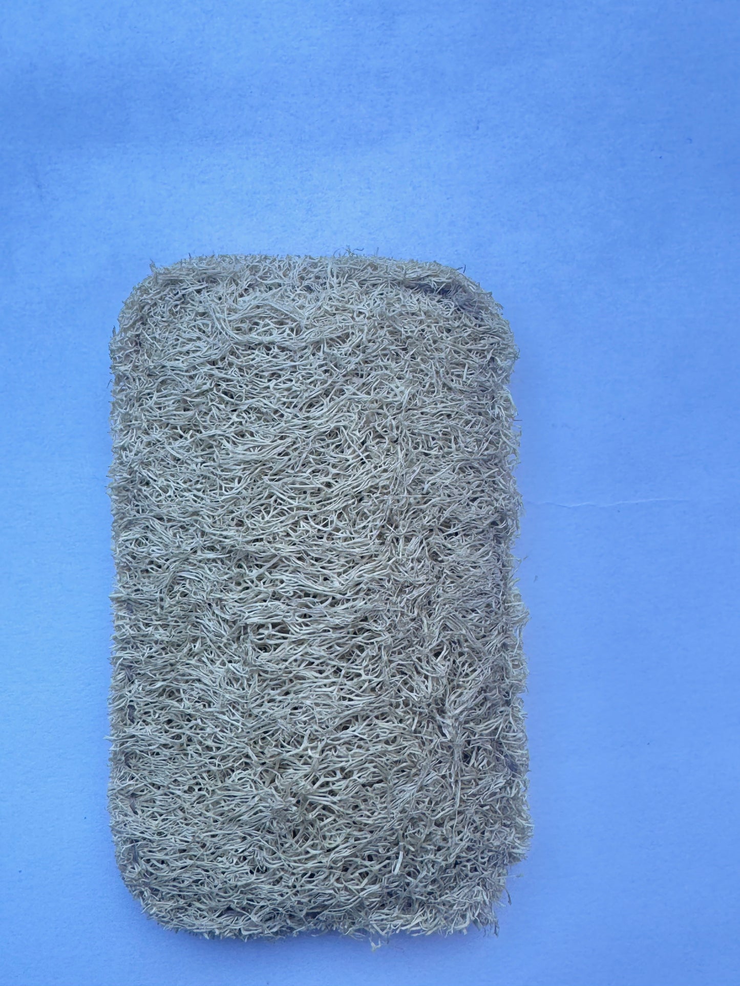Hard Natural Loofah Scrubbing Sponges for Pots &Pans(2pcs)